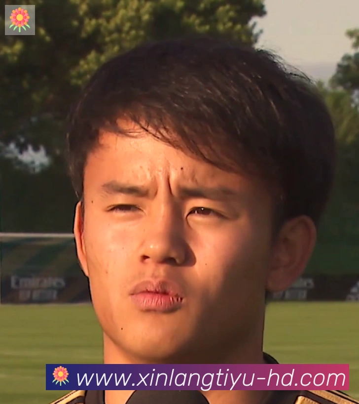 维尼修斯